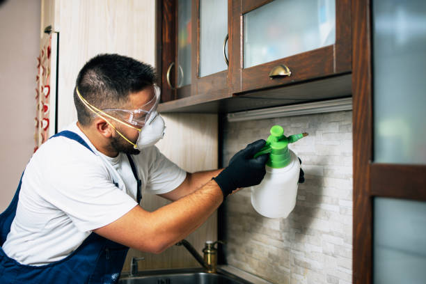 Best Pest Prevention Services  in Clearfield, PA