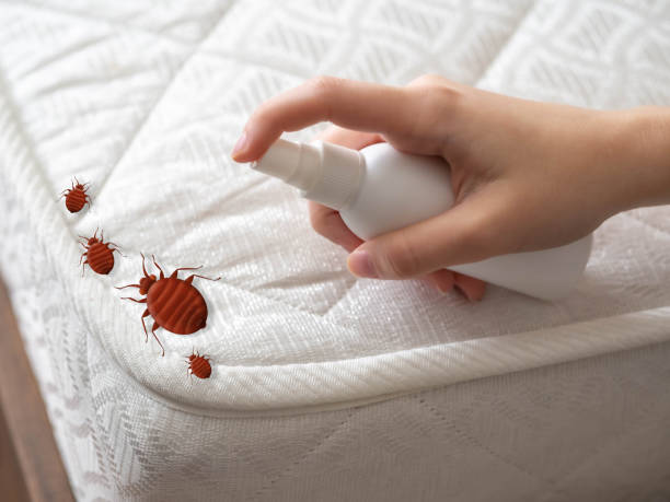 Best Affordable Pest Control Services  in Clearfield, PA